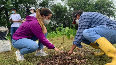 Cuatro Mil Rboles Nativos Fueron Sembrados En Bosques Protectores De