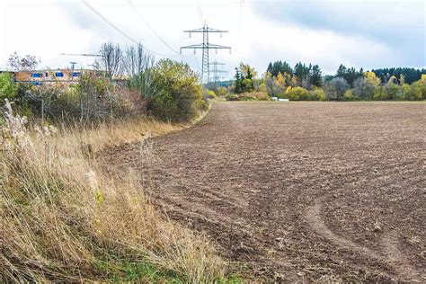 Grafenhausen Neue Gewerbebetriebe Grafenhausener Gemeinderat Macht