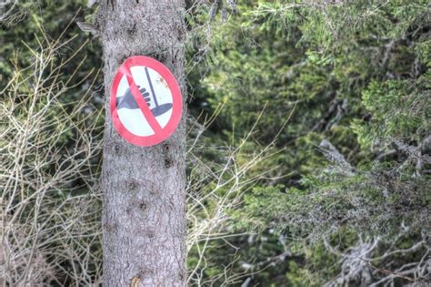 Premium Photo Warning Sign On Tree Trunk In Forest During Winter