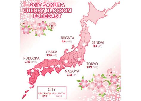 Cherry Blossom Japan Cherry Blossom Season Cherry Blossoms Beginning