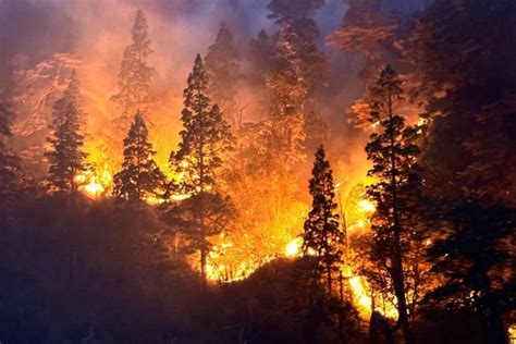 Incendios En Bariloche Las Lluvias Trajeron Alivio Pero Los Focos