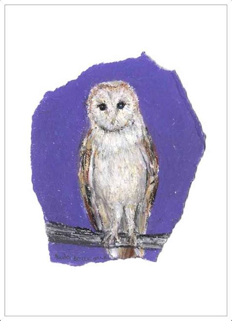 Barn Owl Unframed Gicl E Limited Edition Print Limited Edition