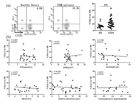 The Frequency Of Tim 3 On Circulating Tfh Cells Was Detected By Flow