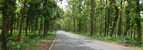 About Jhargram | RAMAKRISHNA MISSION ASHRAMA