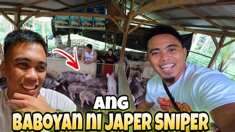 Bumili Na Si Japer Sniper Ng Baboyan Niya Kabungotofficial Youtube