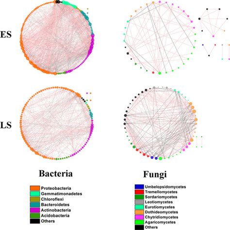 Co Occurrence Networks Of Bacterial And Fungal Taxa Respectively The