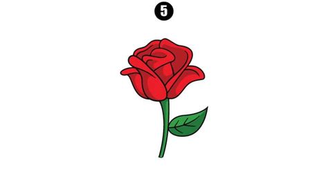 How to Draw Rose Flower - A Step By Step Guide - Cool Drawing Idea