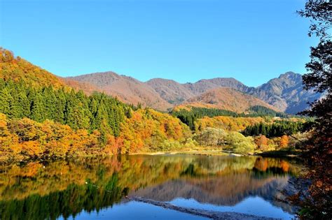 Tempat Terbaik Menikmati Musim Gugur Di Jepang Spesialist Trip Ke