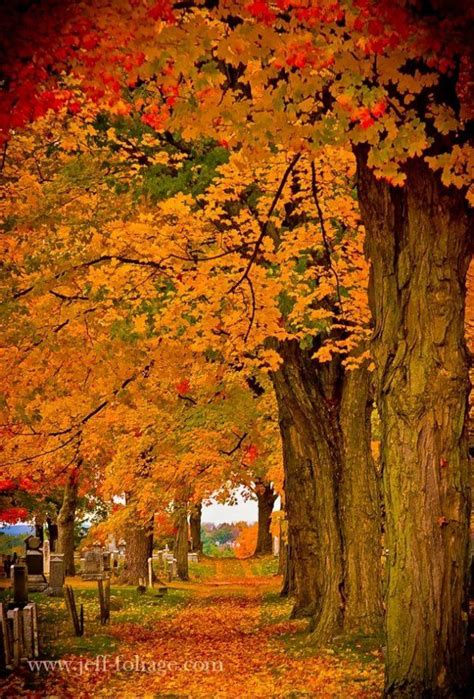 Fall Photography: Old Covered Bridge with Red Leaves