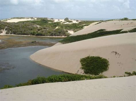 Parque Das Dunas Vale A Pena Visitar Em Mala Pronta