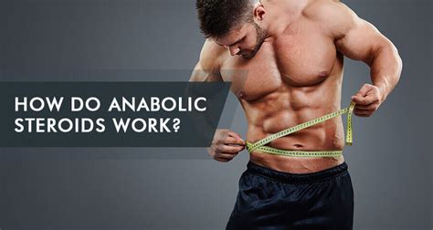 How Do Anabolic Steroids Work What Do They Do In Body And Brain