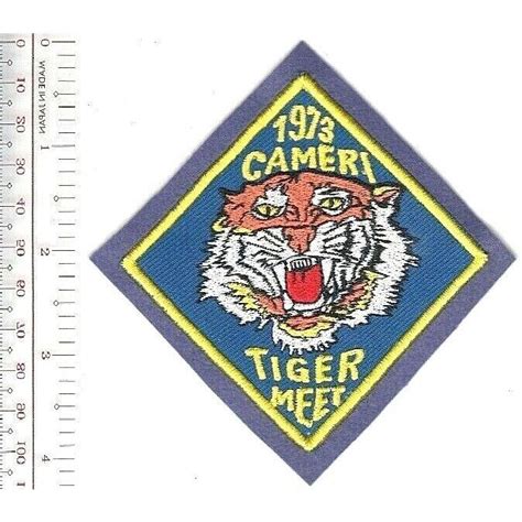 Nato Tiger Meet Ntm Italy Italian Air Force Cameri Air Base Felt