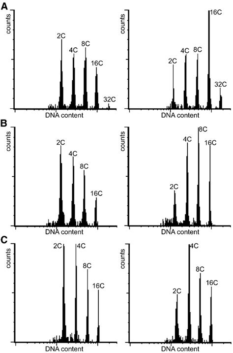 DNA Ploidy Level Distribution Of Wild Type Plants Col 0 Left And