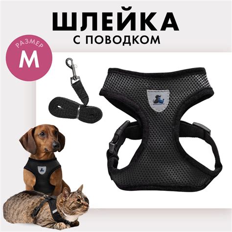 Шлейка для собак мелких, средних пород и кошек - купить с доставкой по ...