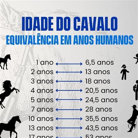 Idade De Um Cavalo - IBVET on Instagram: "Você já se perguntou qual a idade equivalente do ...