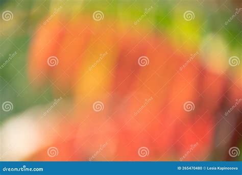 Defocus Light Autumn Red Green Yellow Blurred Background Of Leaves On