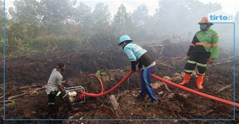 Berita Penggundulan Hutan - Dunia Bisa Kiamat Jika Rezim Fasis ...