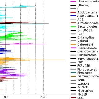 Approximately MaximumLikelihood Phylogenetic Tree Of The Bacterial