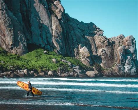 Best Beginner Surf Spots In California Gathering Waves