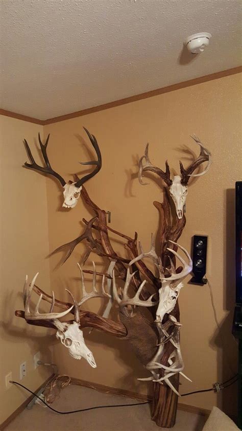 Cedar Tree Showcasing Deer Skull Mounts Deer Mount Decor Deer Mount Ideas Deer Skull Mount