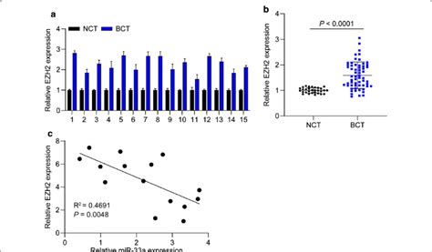 Ezh Is Upregulated In Tnbc Tissues A The Expression Of Ezh In