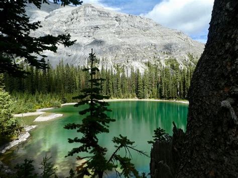 Ribbon Creek Trail Canmore 2021 All You Need To Know Before You Go Tours And Tickets With