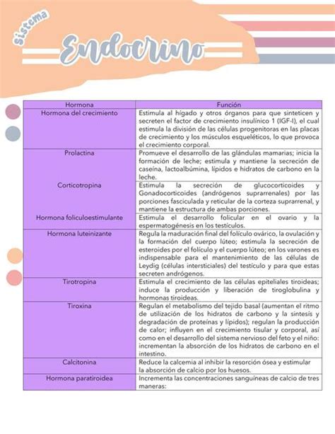 Sistema endocrino Joseline Hernández uDocz