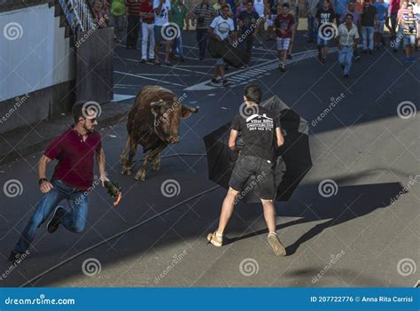 Chased By The Bull Editorial Photo 76845803