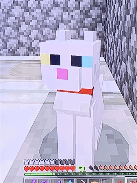 Cat Minecraft