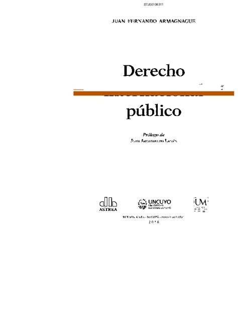 Pdf Derecho Internacional Público Juan Fernando Armagnague