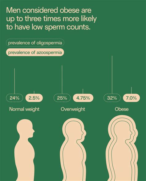 How Body Weight And Obesity Affects Male Fertility Legacy