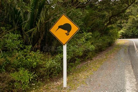 Croisement De Kiwi Photo Stock Image Du Diamant Rare 37997636