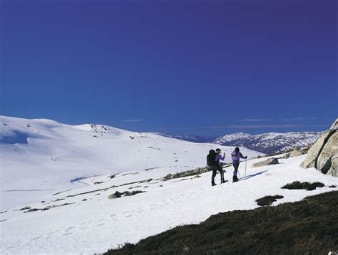 Snowy Mountains Nsw Ski Resorts Fishing Hiking
