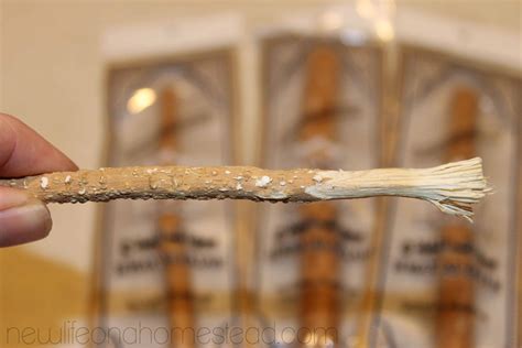 The Toothbrush That's A Chewing Stick • New Life On A Homestead ...