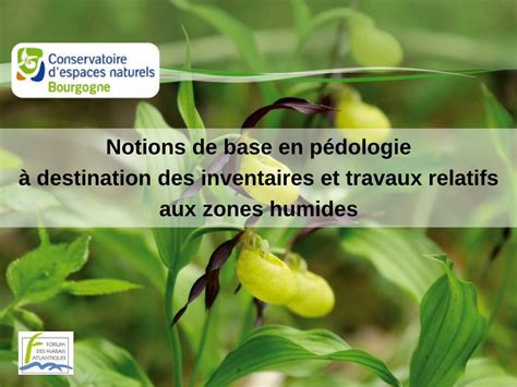 PDF Notions de base en pédologie à destination des Notions de