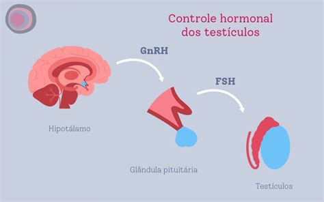 Fsh Exame Saiba Mais Sobre A Import Ncia