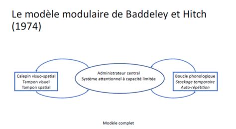 CM5 Psycho Cognitive Cartes Quizlet