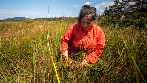 Indigenous Stewardship Should Be Central To Conservation Efforts