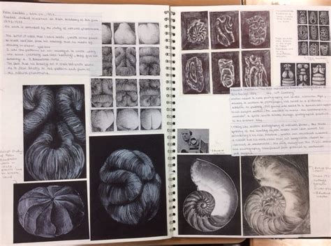 Randall Page Artist Research Page Sketch Book Gcse Art