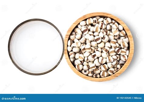 Jobs S Tears Milk And Adlay Millet Stock Image Image Of Plant Jobs