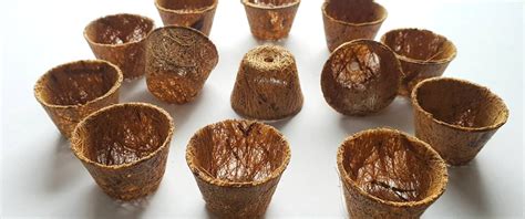 Biodegradable and Compostable Pots – Biodegradable seed starter pots ...