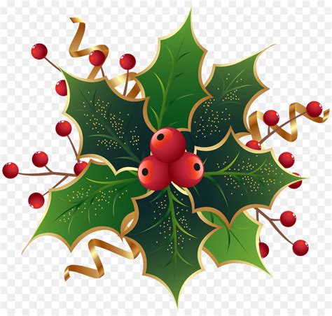 Free Holly Clipart Transparent Background Download Free Holly Clipart