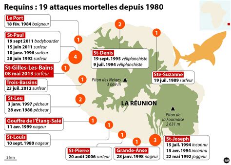 Attaques De Requins Mortelles La R Union Video Surf Preventionles