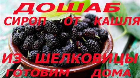 Дошаб! Сироп от кашля из шелковицы! Готовим дома! #дошаб, #сиропизтута ...