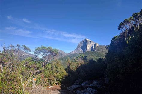 Guide To Hiking Frenchmans Cap In Tasmania Halfway Anywhere