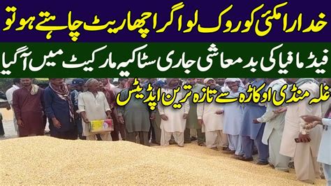 Makki Ka Rate New Update Punjab Pakistan 2023 Galla Mandi Okara Maize