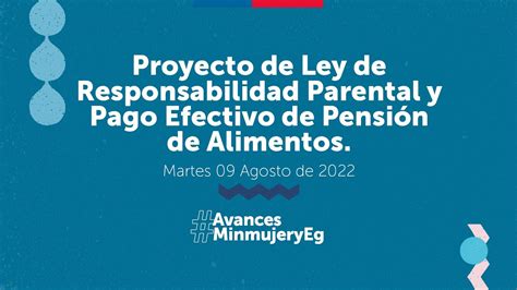 Proyecto De Ley Responsabilidad Parental Y Pago Efectivo De Pensi N