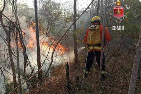 Incêndio Na Flona é Controlado Mais De 170 Hectares Foram Atingidos