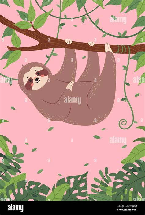 Cartoon Sloth Card Happy Sloths Sleeping Or Hanging From Tree Cute