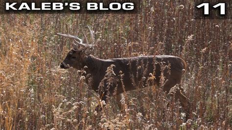 Using A Doe Bleat Big Buck Locked Down Kaleb S Blog Youtube